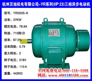 37KW ˼ YRϵ(IP23)첽綯 YR250S-8